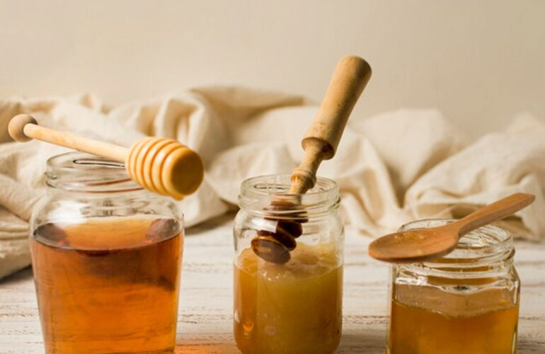 Tutorial Beekeeping for Beginners Breeding Bees