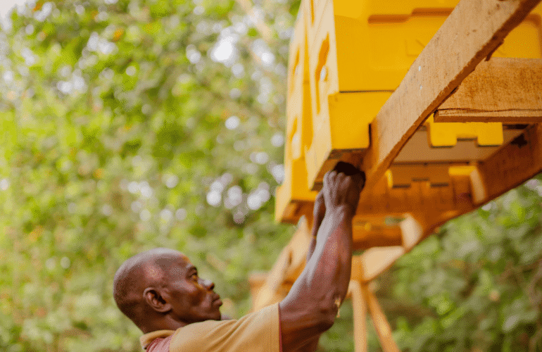 FUNAAB Partnership: Environmental Impact & Smart Beekeeping Tech